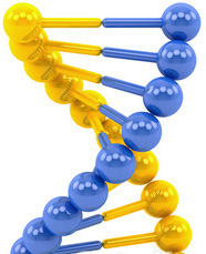 Генетический анализ ДНК